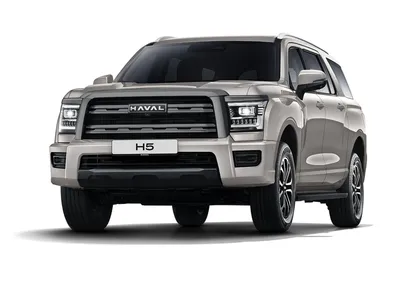 %H5% %2.0 AT (200 л.с.) 4WD Premium% %Серый%