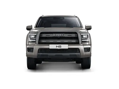 %H5% %2.0 AT (200 л.с.) 4WD Premium% %Серый%