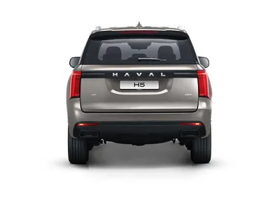 %H5% %2.0 AT (200 л.с.) 4WD Premium% %Серый%
